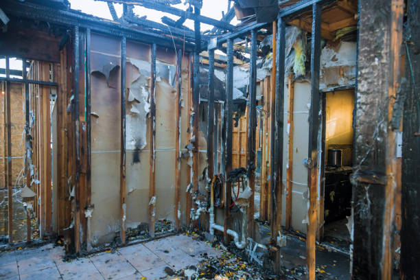 Professional Fire Damage Removal technician working in Waconia, MN